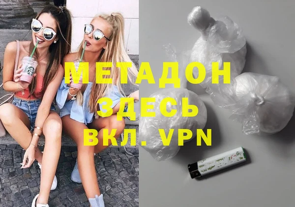 PSILOCYBIN Тайга