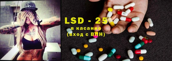 PSILOCYBIN Тайга