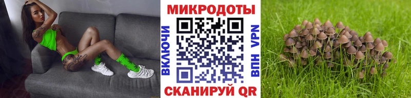 Псилоцибиновые грибы мицелий  Купить  Сальск 